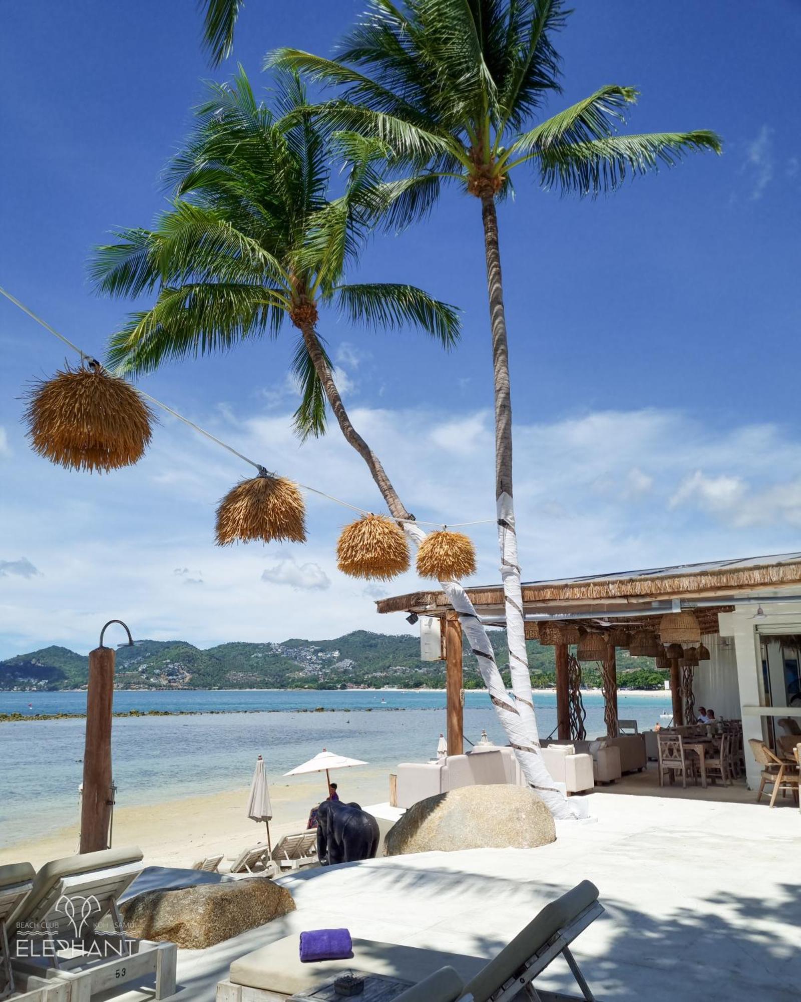 Elephant Beach Club & Resort Samui Chaweng  Exterior foto